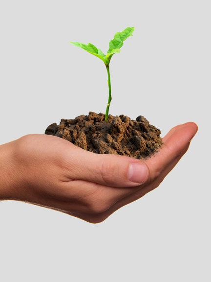 CONSULENZA PREVIDENZIALE